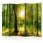 Paraván Forest Rays Dekorhome 225x172 cm (5-dílný)