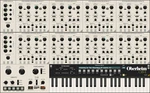 GForce Oberheim (Produs digital)