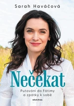 Nečekat - Sarah Haváčová - e-kniha