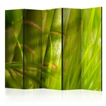 Paraván Bamboo - nature zen Dekorhome 225x172 cm (5-dílný)