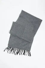 ALTINYILDIZ CLASSICS Men's Gray Scarf