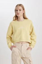 DEFACTO Boxy Fit Crew Neck Thick Fabric Sweatshirt