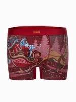 Edoti Men's underpants