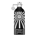 Montale Fantastic Oud parfémovaná voda unisex 100 ml