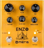 Meris Enzo Effet guitare