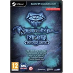 Neverwinter Nights (Enhanced Edition) - PC