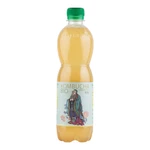 Kombucha green tea 500 ml BIO   STEVIKOM