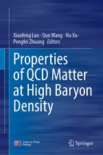 Properties of QCD Matter at High Baryon Density