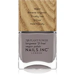 Nails Inc. Vegan Nail Polish dlouhotrvající lak na nehty odstín What's Your Spirituality 14 ml