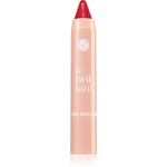 Yves Rocher Le Brillant hydratační rtěnka v tužce odstín 08 Rouge Frambo 2.2 g