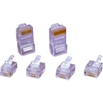 Zástrčka, rovná encitech 6510-0104-01, RJ45 RJ458P8CR, transparentní, 1 ks