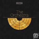 Best Service The Orchestra Muestra y biblioteca de sonidos (Producto digital)