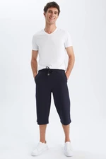 DEFACTO Regular Fit Tall Short