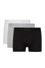 DEFACTO Regular Fit 3-pack Boxer