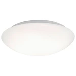 STROPNÍ LED SVÍTIDLO, 28/9,5 cm