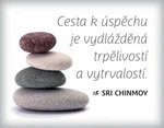 Magnet na lednici Cesta k úspěchu - Sri Chinmoy