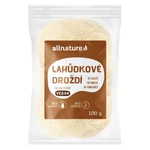 ALLNATURE Lahůdkové droždí neaktivní 100 g