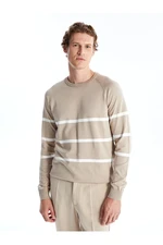 LC Waikiki Crew Neck Long Sleeve Striped Men's Knitwear Sweater