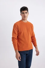 DEFACTO Standard Fit Crew Neck Sweater