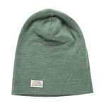 Winter hat made of merino wool ALPINE PRO BEDADE loden frost