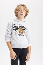 DEFACTO Boy&#39;s Hooded Printed Sweatshirt