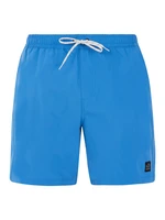 Men's beach shorts Protest PRTBAKY