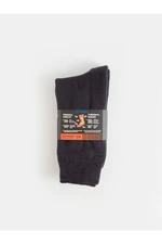 LC Waikiki Men's Thermal Socks