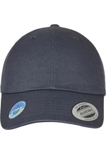 Ecowash Dad Grey Cap