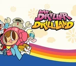 Mr. DRILLER DrillLand EU PC Steam CD Key