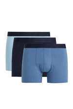 DEFACTO Regular Fit 3-Pack Boxer