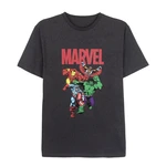 SHORT SHIRT SINGLE JERSEY POINT MARVEL