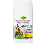 Bione Cosmetics Cannabis Kostival relaxační masážní balzám v tyčince 45 ml