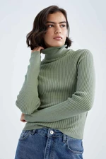 DEFACTO Slim Fit Turtleneck Pullover