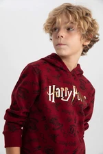 DEFACTO Regular Fit Harry Potter Licensed Hooded Sweatshirt