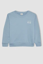 DEFACTO Regular Fit Crew Neck Sweatshirt