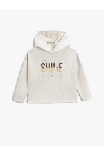 Koton Hooded Sweatshirt with Sequin Embroidered Silvery.