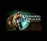 Vanishing Realms Steam CD Key