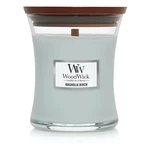 WoodWick Vonná sviečka váza stredná Magnolia Birch 275 g