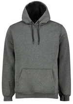 Men's sweatshirt Aliatic