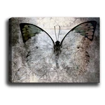 Obraz Tablo Center Fading Butterfly, 70x50 cm