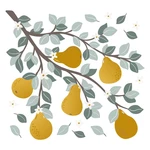 Naklejki dziecięce 54x50 cm Pears On A Branch – Lilipinso