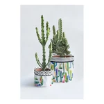 Komplet 2 tekstylnych doniczek Surdic Watercolor Cactus