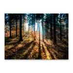 Obraz Styler Glasspik Autumn Sunset, 70x100 cm