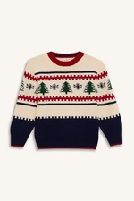 DEFACTO Boy Regular Fit Christmas Themed Crew Neck Knitwear Sweater