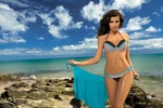 Wendy Seppia M-293 swimsuit brown-turquoise (71) As in the picture