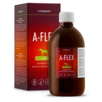 CANAMI A-Flex + CBD  500 ml