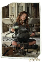 Plakát 61x91,5xm - Harry Potter - Hermione Granger