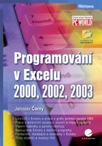 E-kniha: Programování v Excelu 2000, 2002, 2003 od Černý Matouš