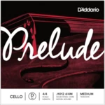 D'addario J1012 4/4m