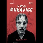 Různí interpreti – U Zlaté rukavice DVD